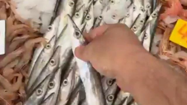 اسعار السمك اليوم في الجزائر \سوق السمك ميناء زموري مسمكة خوخة بوقرة смотреть онлайн
