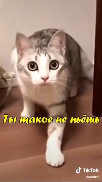 Пожалуйста посмотрите это видео оно очень интересные пацаны ценит бобыли стоит смотреть онлайн