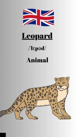 How to pronounce Leopard in English-British Accent #learnenglish #learnenglishtogether