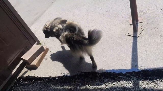 Скучают и встречают смотреть онлайн