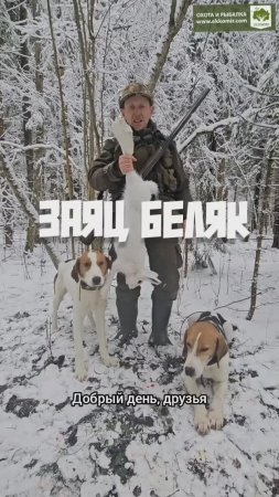 О беляке. +18
