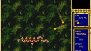 Triangle World Campaign