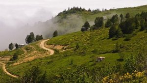 Турецкая песня (Забит) Лезгиев Рашид Мусаевич.