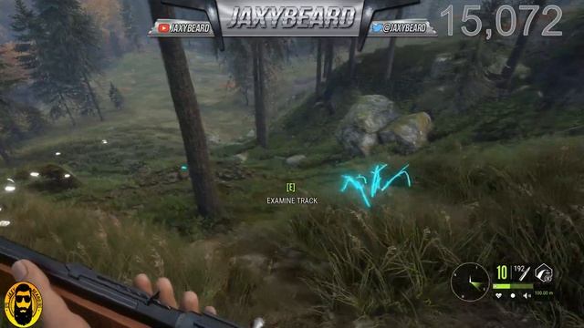 Hunting Hirschfelden pt 2 LIVE! in theHunter Call of the Wild смотреть онлайн