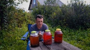 НОВЫЕ НАСТОЙКИ из ЧЕРЕМУХИ И КРАСНОЙ СМОРОДИНЫ