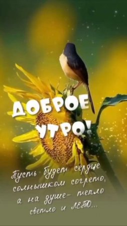 🌝🌞🌟☀️Доброе утро..Buongiorno