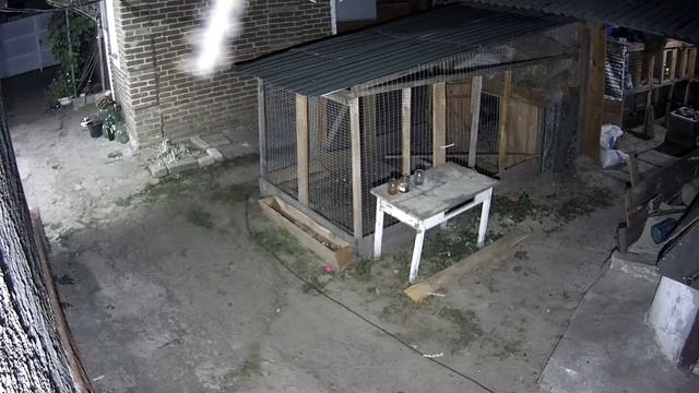 Небесные ЛЕТАЮЩИЕ СТЕРЖНИ (Скайфиш, Шнеки, Криттеры, небесные рыбы).