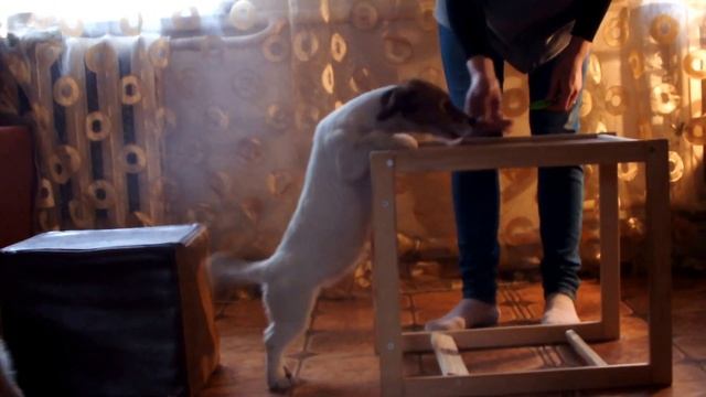 LEYLA SUNNY GANG & LILIT SUNNY GANG \For sale! смотреть онлайн