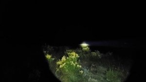 Olight Warrior X Turbo