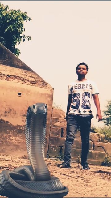 Mere naag raja tu na aana bhag jana🐍🐍 #anandsinghvlogs #reels #short смотреть онлайн
