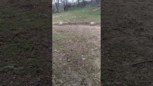 Фермы из арматуры для теплицы 2024 г.