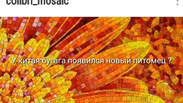 У КИТАЯ БУГАГА ПОЯВИЛСЯ НОВЫЙ КОТ ? смотреть онлайн