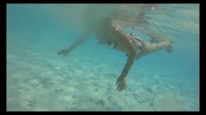 Mauritius snorkeling