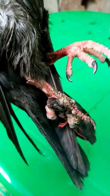 29 июня 2022 г. смотреть онлайн