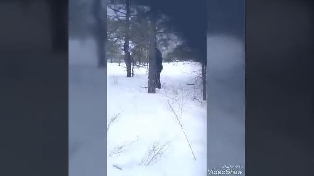 Росомаха 2