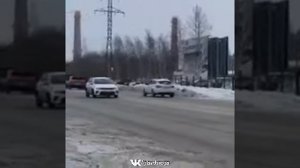 Медведи в городе!!!