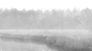 Liveride - Туманами...(Журавли)