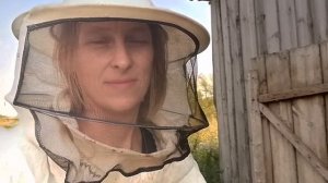 Пасека Добрая пчела