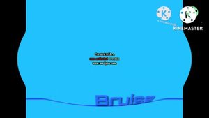 Bruise Effects (Sponsored by Klasky Csupo 1998 Effects)