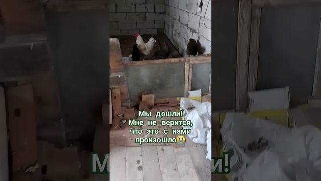 Наконец мы дошли до дома Орск 12.04.24