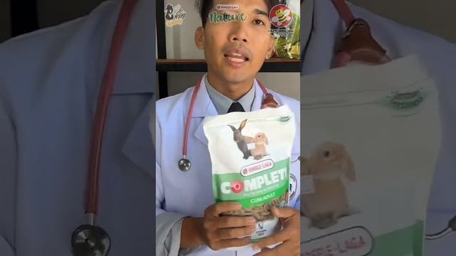 เคล็ดลับการให้อาหารกระต่ายที่หลายคนยังไม่รู้ смотреть онлайн