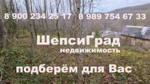 ПРОДАЖА! Земельный участок в Шепси за 1,1 млн.р.