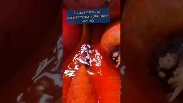 наливаю фильтрованная воду прямо из под крана для варки овощнй смотреть онлайн