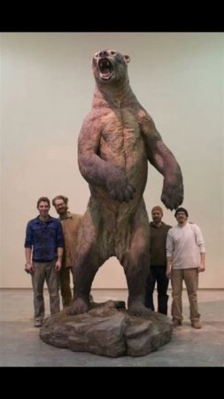 Giant Pre-historic Bear Found In America! | Short-Faced-Bear