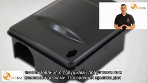приманочная станция для крыс