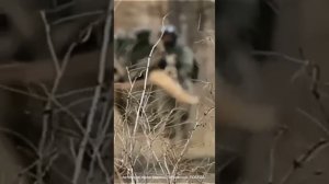 Победа