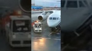 Так в Пулково разгружают багаж