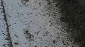 Усадьба Ляхово. 6.02.2025.Домодед.Бежит чистая вода с Ляховского озера(нижнего) в Реку Востец.Обзор