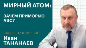 АЭС в России надо строить постоянно: учёный Иван Тананаев о будущем энергетики | Экспертное мнение