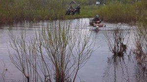 Химкинский лес и не много воды