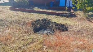 ДАЧНЫЙ ВЛОГ // ОГРОМНАЯ траваИ СЕМЕЧКИ НЕ НУЖНЫ // ВЕЧЕРНИЕ работы