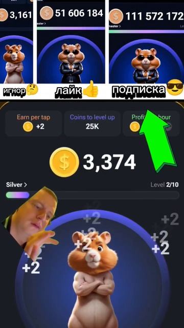 КАК ВЫВЕСТИ ДЕНЬГИ С ХОМЯКА смотреть онлайн