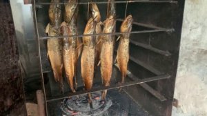 Как коптить рыбу? Копчение рыбы в самодельной коптильне.