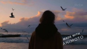 Чайка / Вика Старикова