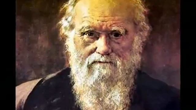 Fossils that proves Evolution