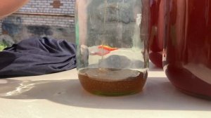 Процеживаем мед 🍯 на продажу