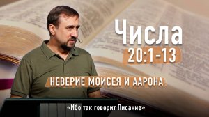 Библия - Числа Глава 20 стихи 1-13 - НЕВЕРИЕ МОИСЕЯ И ААРОНА - Ибо так говорит Писание