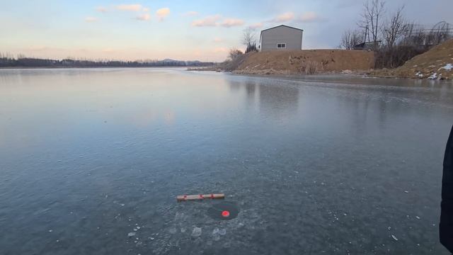 Рыбалка на хапугу В ТИШИНЕ. рыбалка fishing 낚시 carpfishing обзор