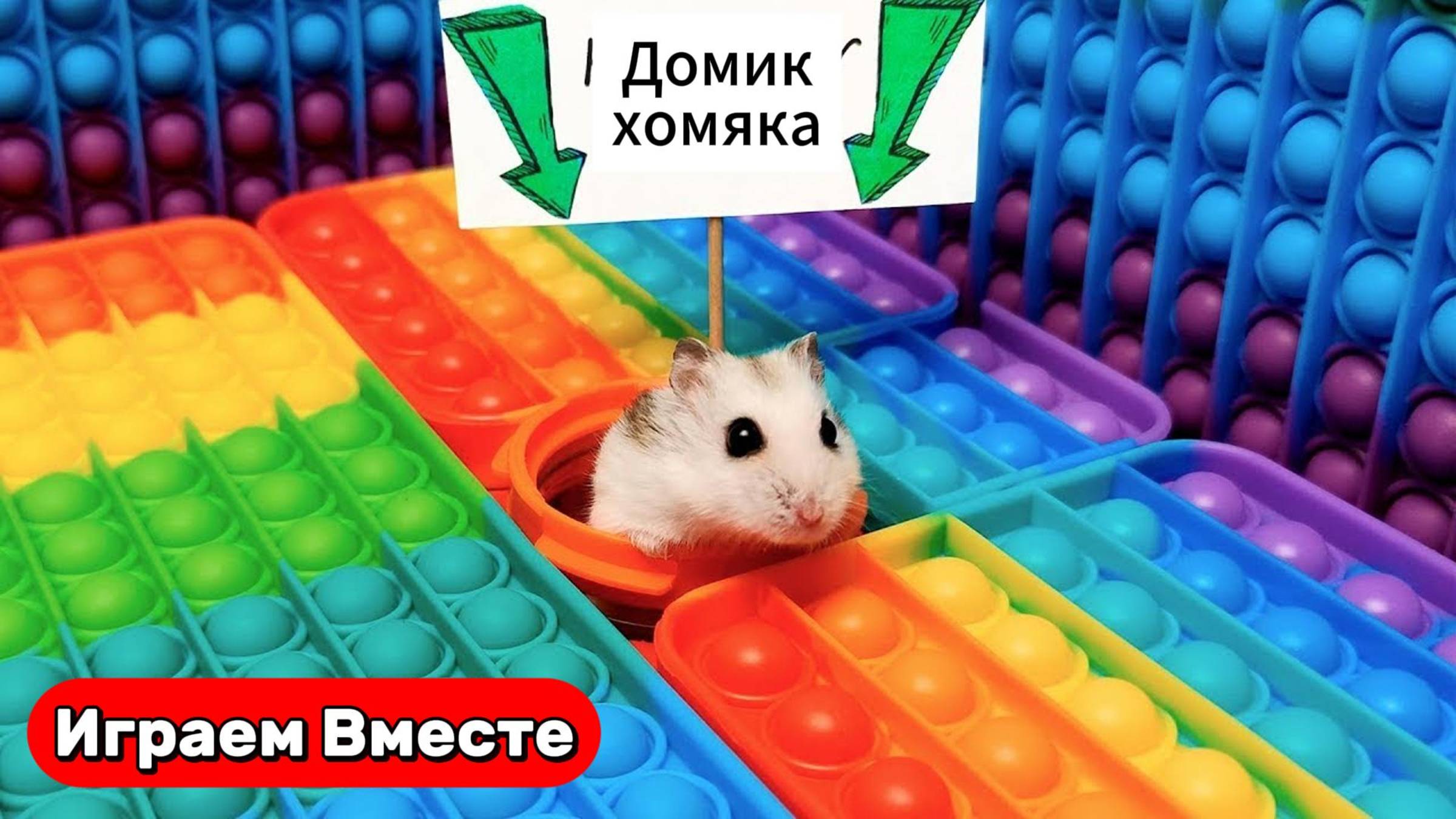 Хомяк выбирается из ПОП ИТ ЛАБИРИНТА и ХИТРЫМЫ ЛОВУШКАМИ ! Видео для детей смотреть онлайн