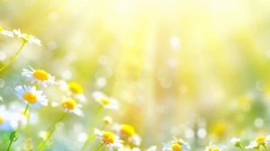 Peaceful Music, Relaxing Music, Instrumental Music, Enchanted Journeys by Tim Ja