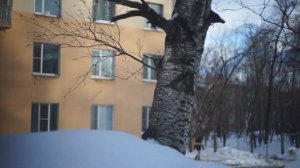 Тест объектива Гелиос 44М-5 МС: нечасто встречается, но порадует и кинодела | молчаливый обзор