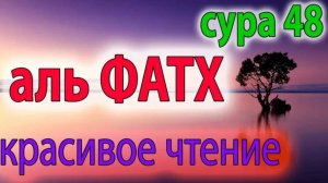 Сура 48. Аль-Фатх (Победа)