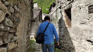 кошка была нашим гидом