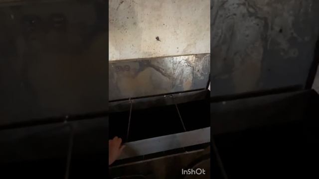 Откорм  свиней Видео Отзыв от клиента Сравнение кормушек Плюсы Мминусы