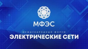 Grata Adv организатор сессий Деловой программы МФЭС - 2024