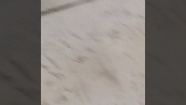 Посыпало порошком#Буран #пожаротушение смотреть онлайн